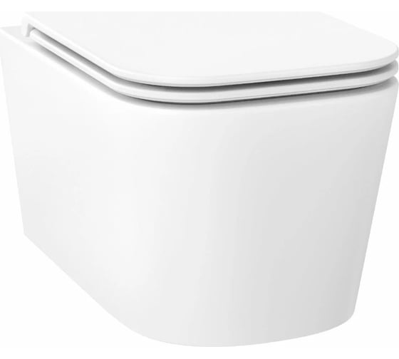 Безободковый подвесной унитаз Wellsee Graceful Pro 182601001