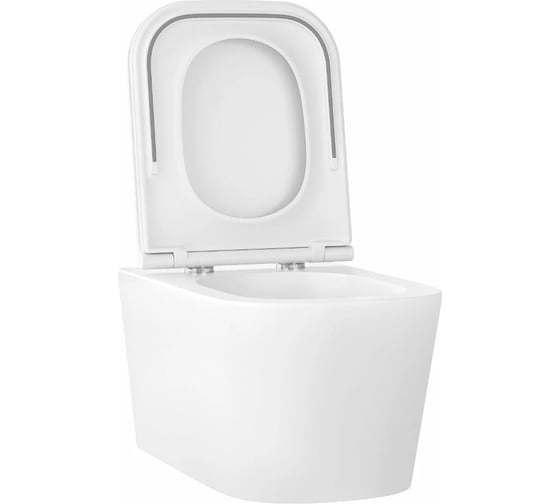 Безободковый подвесной унитаз Wellsee Graceful Pro 182601001