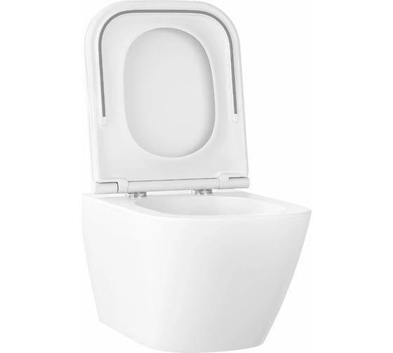 Безободковый подвесной унитаз Wellsee Pure BY 182602001