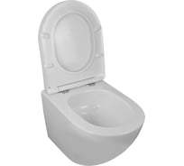 Подвесной унитаз Loranto ESTER с системой смыва Tornado, в комплекте с быстросъемным сиденьем микролифт, дюропласт 485*360*320 00087265