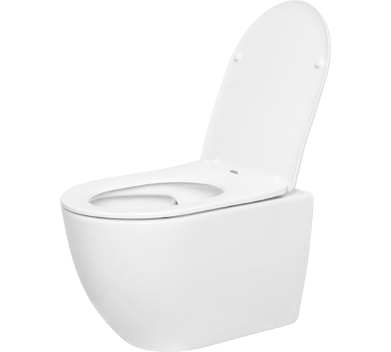 Подвесной унитаз San More fiaba безободковый, с микролифтом, белый SMT971903