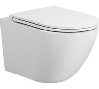 Подвесной унитаз-компакт Aquatek Европа безободковый, смыв tornado aq1900t-00 00000132337