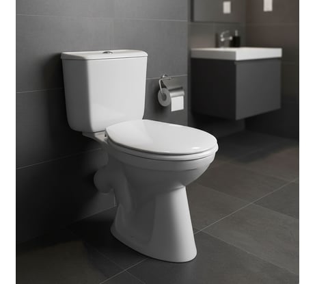 Унитаз-компакт Santek БРИЗ 1.WH30.2.138, 00000040414 1WH302138