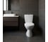Унитаз-компакт Santek БРИЗ 1.WH30.2.138, 00000040414 1WH302138 16