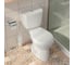 Унитаз-компакт Santek БРИЗ 1.WH30.2.138, 00000040414 1WH302138 19