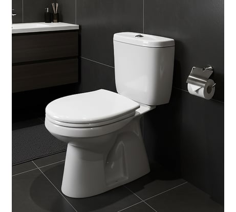 Унитаз-компакт Santek АНИМО 1.WH30.2.133, 00000048139 1WH302133