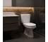 Унитаз-компакт Santek АНИМО 1.WH30.2.133, 00000048139 1WH302133 11