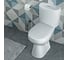 Унитаз-компакт Santek АНИМО 1.WH30.2.133, 00000048139 1WH302133 13