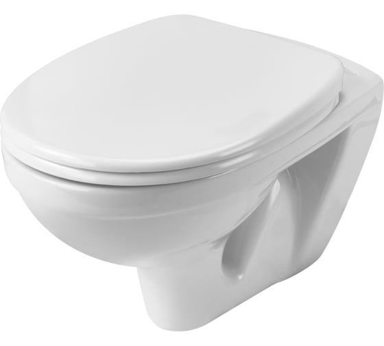 Унитаз Santek БОРЕАЛЬ ПЭК подвесной, с сиденьем soft close 1.WH30.2.464 ...?