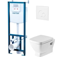 Унитаз Santek НЕО ПЭК подвесной с сиденьем soft close 1.WH30.2.463, 00000066307