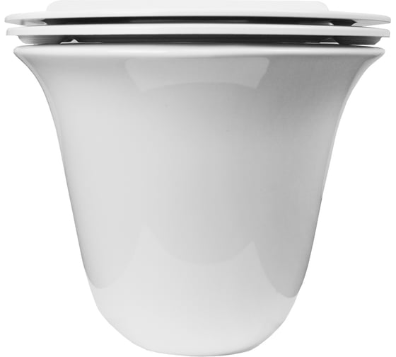 Подвесной унитаз Azario Felice AZ-0051 490х360х360 (круглый) 00085959