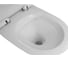 Подвесной унитаз Azario Felice AZ-0051 490х360х360 (круглый) 00085959 9
