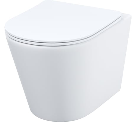 Подвесной безободковый унитаз IDDIS Calipso, CALRDSEi25