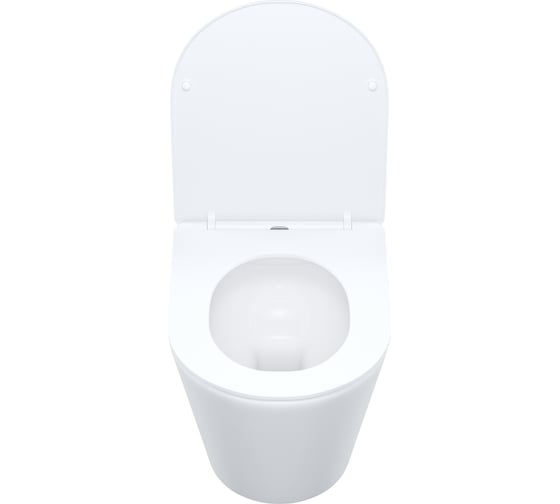 Подвесной безободковый унитаз IDDIS Calipso, CALRDSEi25