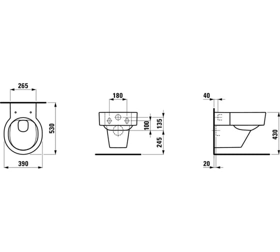 Подвесной унитаз RIMLESS Laufen 2028.1.000.000.1, 00000060525