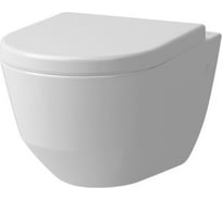 Подвесной унитаз NEW Laufen 2095.6.000.000.1, 00000022162