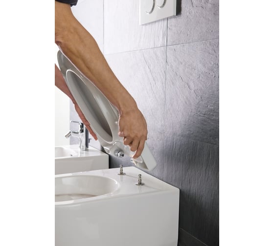 Подвесной унитаз NEW Laufen 2095.6.000.000.1, 00000022162