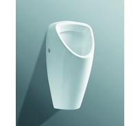 Уринал Laufen подвод воды скрытый 4206.1.000.000.1, 00000062921