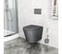 Комплект 6 в 1 Bauedge BAU инсталляция BAU Aquanika, унитаз подвесной безободковый Bau Nimb темно-серый, сиденье дюропласт микролифт, круглая черная матовая клавиша 10.702.450.00.00-01.02.02202-BK0002DG 11