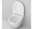 Подвесной унитаз AM.PM Inspire FlashClean C501700WH 10