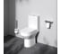 Унитаз-компакт AM.PM Spirit V2.0 FlashClean, без сиденья C708600WH 12