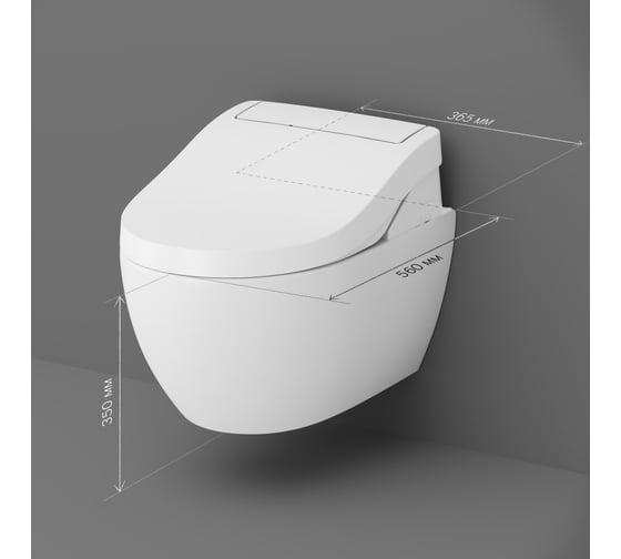 Подвесной унитаз с электронной крышкой-биде AM.PM Awe Clean Care C111739SC