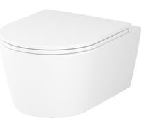 Func подвесной унитаз 49 см FlashClean с сиденьем микролифт, бел мат AM.PM C8F1700MWSC