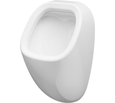 Писсуар AM.PM Spirit V2.0 скрытый подвод воды с декором C707005WP