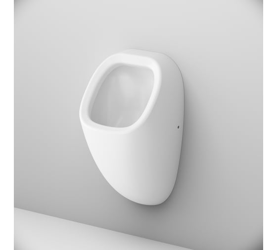 Писсуар AM.PM Spirit V2.0 скрытый подвод воды с декором C707005WP