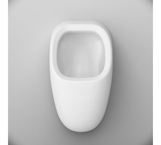 Писсуар AM.PM Spirit V2.0 скрытый подвод воды с декором C707005WP