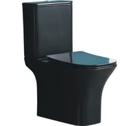 Напольный унитаз-компакт Cerutti SPA vettore mb ct черный матовый, безободковый, сиденье с микролифтом 9241