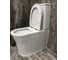 Напольный унитаз-компакт Cerutti SPA adige mw ct белый матовый, безободковый, сиденье с микролифтом 9243 3