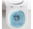 Подвесной унитаз Cerutti SPA mimi aria ct безободковый, с сиденьем микролифт 8908 8