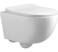 Подвесной унитаз Cerutti SPA orlter aria pp ct безободковый, с сиденьем микролифт 9739