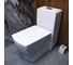 Унитаз-моноблок MORVARID Mega Monoblock Washdown фарфор, 68 см, вертикальный выпуск 2139369 4