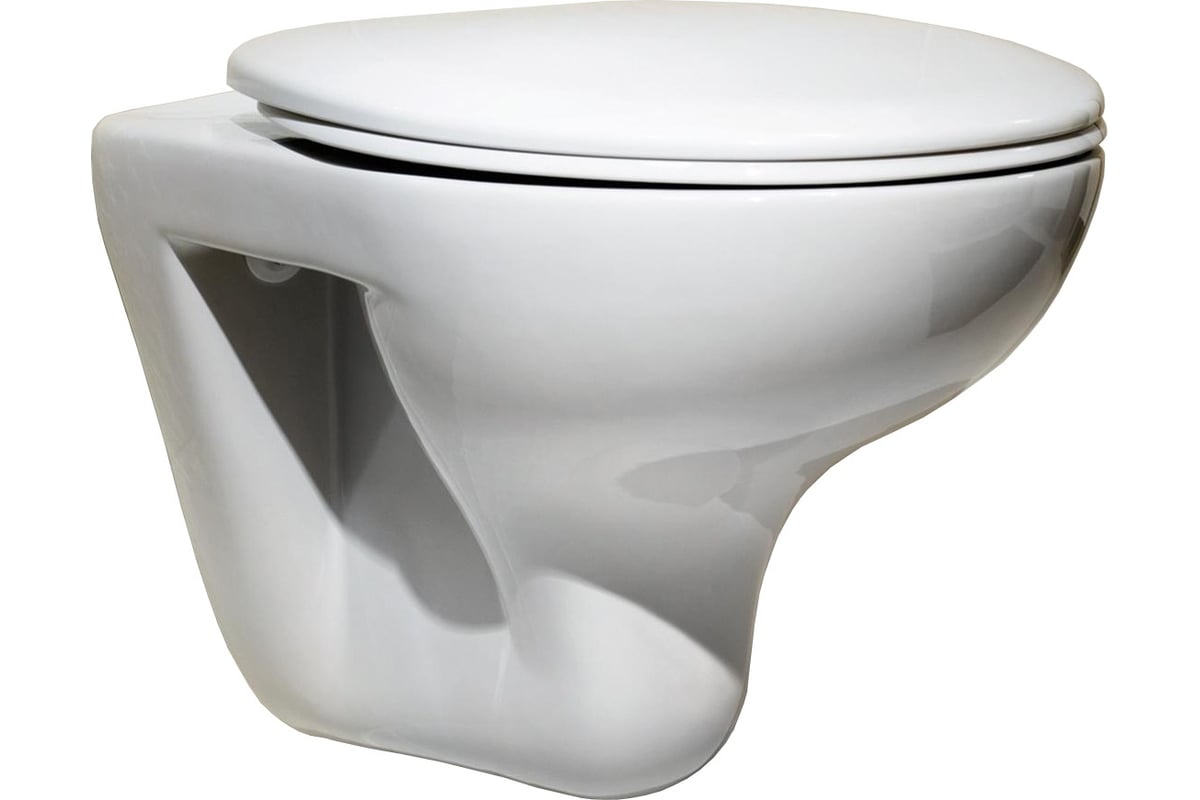 Подвесной унитаз Roca Mateo 00000044141 346200000 - выгодная цена ...