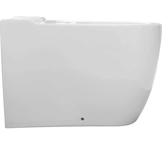 Чаша для напольного унитаза ALLEN BRAU Priority 2 с Rimless, без сиденья 4.31003.20 00301926