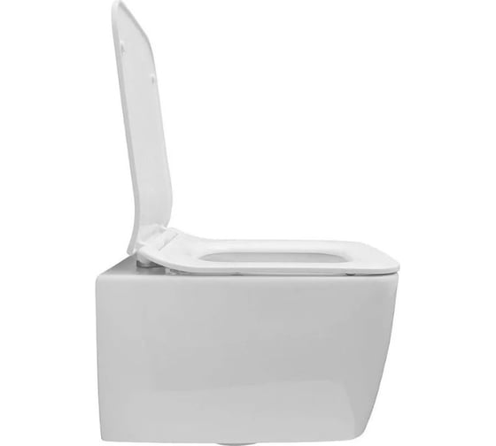 Унитаз подвесной ALLEN BRAU LIBERTY 2 rimless, без сиденья, 518x370 мм, белый 4.33007.20 312468 00312468