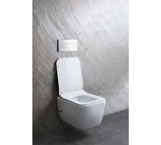 Унитаз подвесной ALLEN BRAU 4.33009.20 LIBERTY 2 rimless без сиденья, гиг.душ г/х, 518x370 мм, белый 312476 00312476
