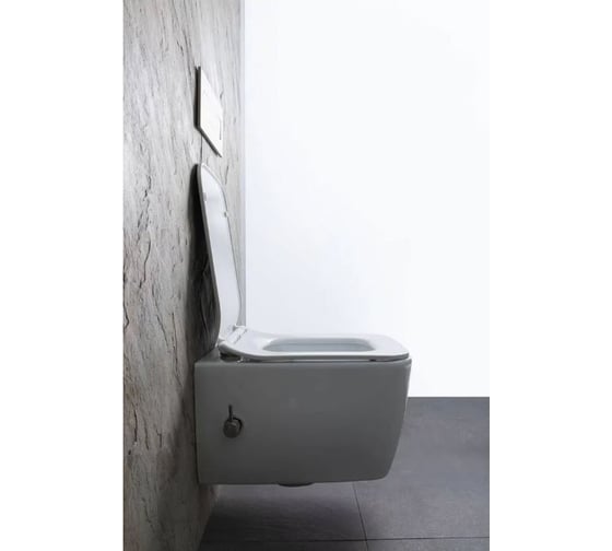 Унитаз подвесной ALLEN BRAU 4.33009.20 LIBERTY 2 rimless без сиденья, гиг.душ г/х, 518x370 мм, белый 312476 00312476