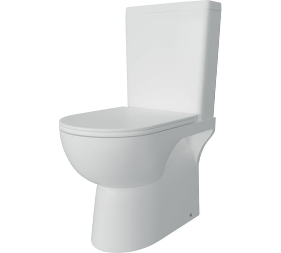 Унитаз напольный Teymi Aina безободковый, сиденье микролифт T40205 ЦБ-00269470