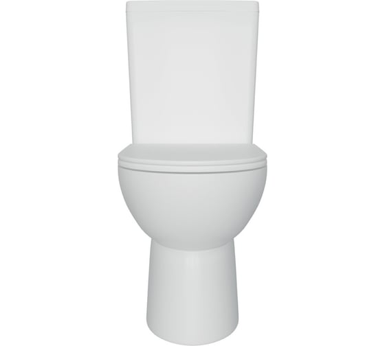 Унитаз напольный Teymi Aina безободковый, сиденье микролифт T40205 ЦБ-00269470