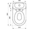 Унитаз-компакт Santek Римини косой выпуск, 2 режима, сиденье DP 1WH302130 441394 12
