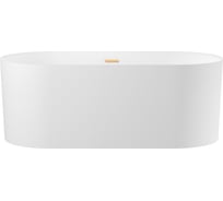 Отдельностоящая акриловая ванна Wellsee Chalice Perfection 166x77 см в наборе 4 в 1 230602004