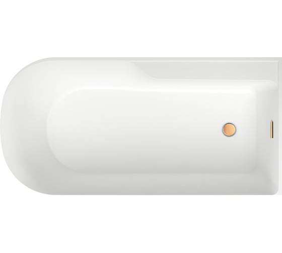 Отдельностоящая акриловая ванна Wellsee Camellia 2.0 167x82 см (правый разворот) в наборе 4 в 1 236202004