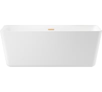Отдельностоящая акриловая ванна Wellsee DeSire 2.0 168x78 см в наборе 4 в 1 231502004