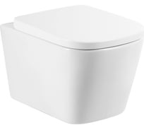 Унитаз подвесной безободковый с быстросъемным сидением с миколифтом BelBagno ALBANO BB120CHR/BB120SC