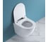 Унитаз подвесной безободковый с быстросъемным сидением с миколифтом BelBagno SFERA-R BB046CHR/BB2111SC 4