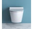 Унитаз подвесной безободковый с быстросъемным сидением с миколифтом BelBagno SFERA-R BB046CHR/BB2111SC 6