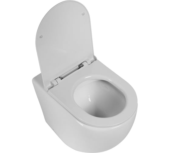Унитаз приставной безободковый с быстросъемным сидением с микролифтом BelBagno SFERA-R BB2141CBR/BB902SC